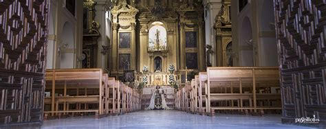 Paseillo Es La Venerable Archicofrad A De Ntra Sra Del Carmen