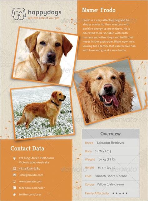 Dog Walking Flyer Template Free - Sfiveband.com