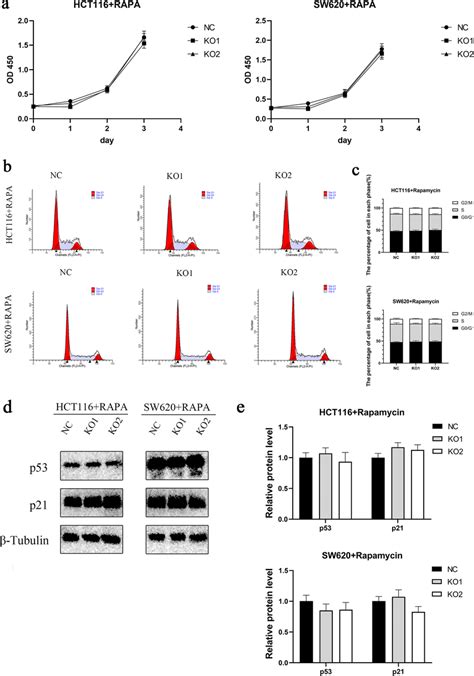 Muc3a Regulated The Growth And Cell Cycle Of Crc And Through The