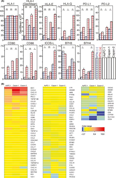 A, human leukocyte antigen class I antigens (HLA‐I) and other surface ...