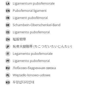 Pubofemoral ligament - e-Anatomy - IMAIOS