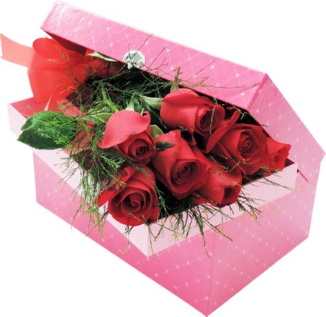 St Valentin Roses Rouges