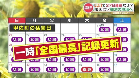 tbs news dig
