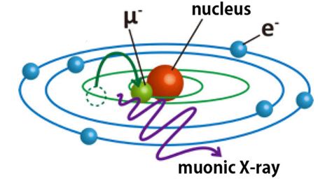 Muon Experiment Reveals More Detail Of Asteroid Ryugupress Releasej