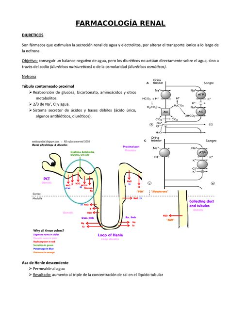 Farmacología Renal Resumen Modulo VI FARMACOLOGÍA RENAL DIURETICOS