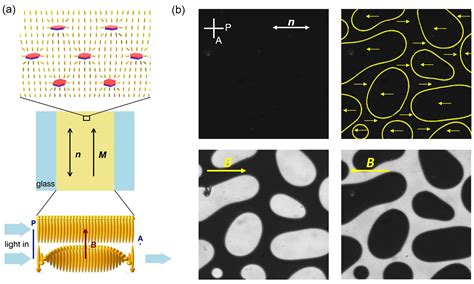 Crystals Free Full Text Introduction To Colloidal And Microfluidic