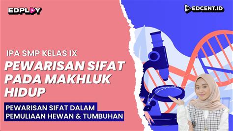 Pewarisan Sifat Dalam Pemuliaan Hewan Dan Tumbuhan SMP Kelas 9 Part