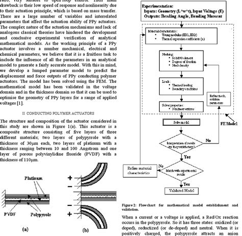 A Schematic Structure Of The Conducting Polymer Actuator And B Download Scientific Diagram