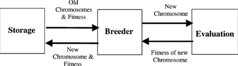 units   evolutionary algorithm  scientific diagram
