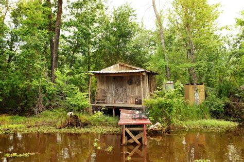 New Orleans Swamp & Bayou Boat Tour | GetYourGuide