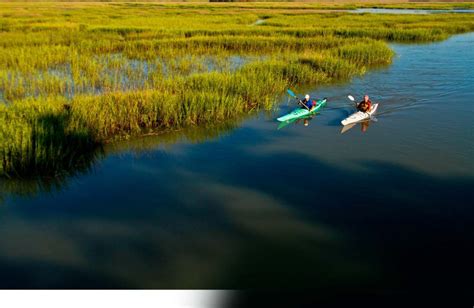 Estuary Science ~ What is an Estuary? ~ Restore America's Estuaries