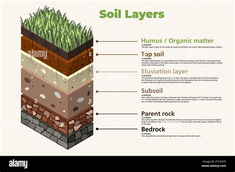 Soil Layers Horizons With Names And Explanations Isometric D