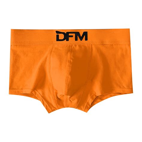 Tensunnyd Sexy Mens Underwear See Through Mesh Boxer Panties Low Waist