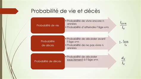 Statistiques Th Orie Des Probabilit S Youtube