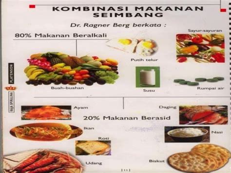 Makanan Bergizi Dan Sehat Untuk Ibu Hamil Dan Menyusui Toko Bacaan Gratis