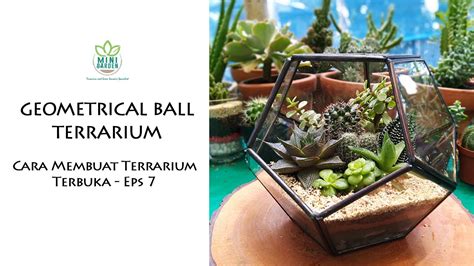 Geometrical Ball Terrarium Cara Membuat Terrarium Terbuka Eps Youtube