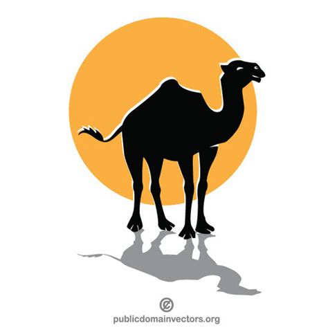 Camel In The Desert Public Domain Vectors