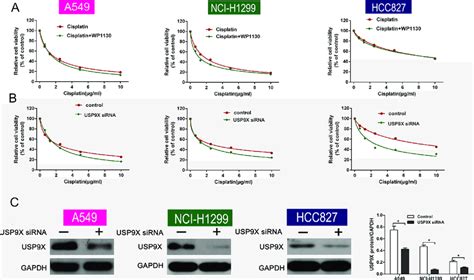 A Cell Viability Between The Cisplatin Alone And Co Treatment Groups