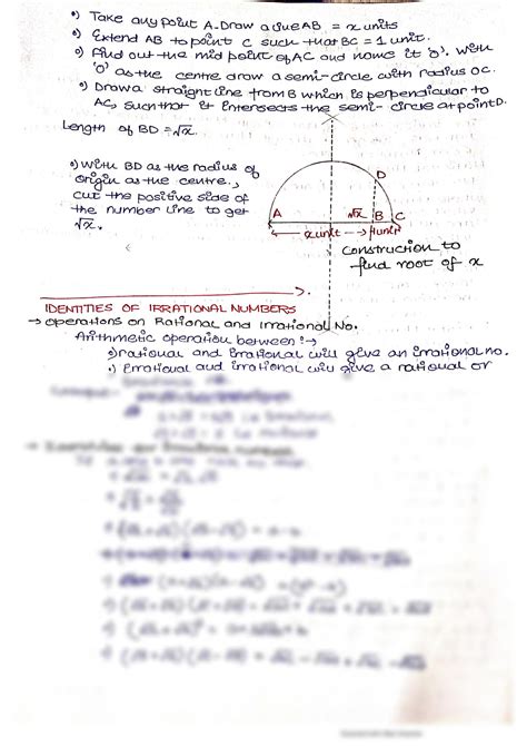 Solution Chapter 1 Class 9 Maths Notes Studypool