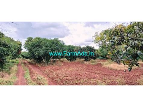 Acre Mango Farm Sale Kolar Srinivasapura Road Kolar Farmads In