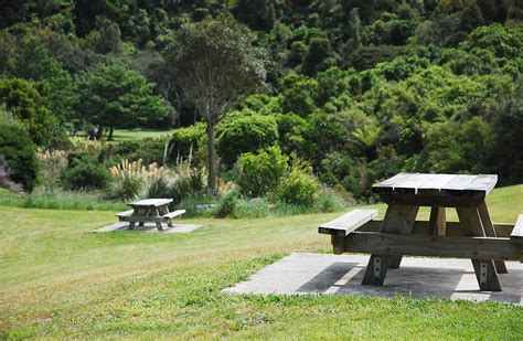 Catchpool And Orongorongo Valleys Remutaka Forest Park Wellington