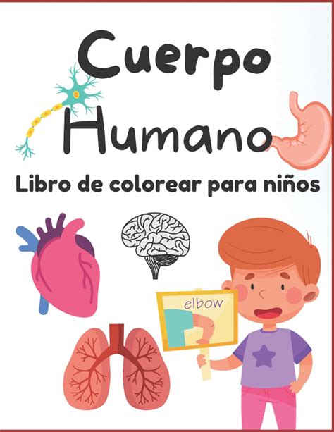 Buy Cuerpo Humano Libro de colorear para niños 32 Partes de la