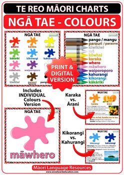 Te Reo Maori Colours Charts Ngā Tae Maori Language Posters TPT