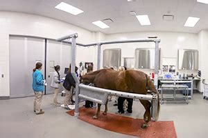 Virtual Tour - College of Veterinary Medicine - Purdue University