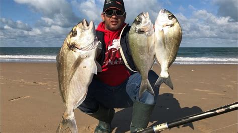 Descubre La Mejor Tienda De Pesca En Chiclana De La Frontera Equ Pate