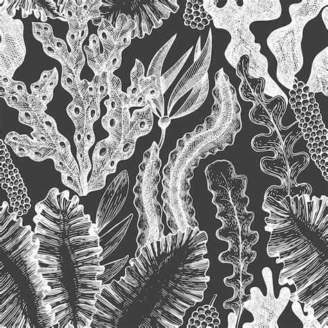 Premium Vector Seaweed Seamless Pattern Hand Drawn Vector Seaweeds