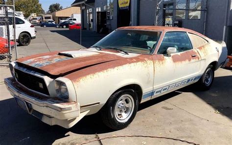 Perfect Patina Ford Mustang Cobra Ii Barn Finds