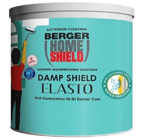 Berger Home Shield Damp Shield Elasto Emulsion Paint 10 L At Rs 4000