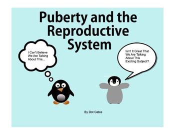 An Interactive SmartBoard Intro To Puberty The Reproductive System