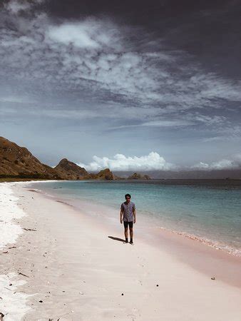 Komodo Marina Tour Labuan Bajo Aktuelle Lohnt Es Sich Mit