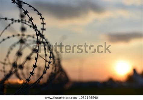 Barbed Wire Prison Fence Stock Photo (Edit Now) 1089146540