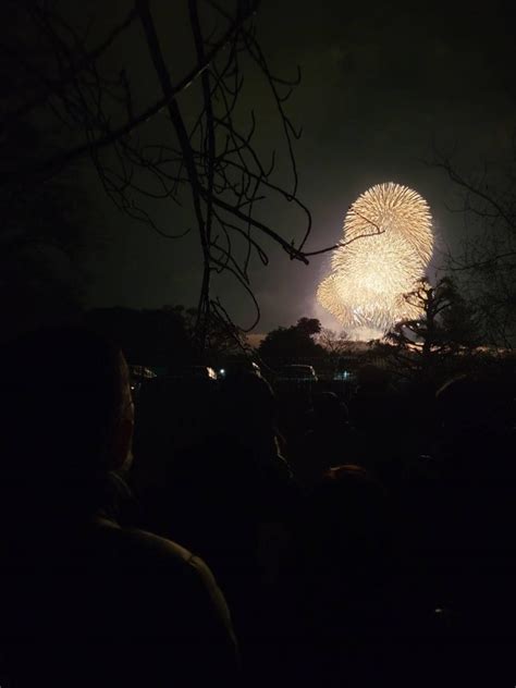 名古屋発ハピネスツアー 『大和路の冬の風物詩！夜空を焦がす「若草山山焼き」＆打上花火と世界遺産「春日大社」初詣』 【ナイスミドル＆ミディに