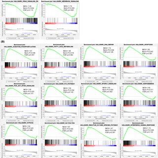 Pathway Enrichment Analysis Between Cluster And Cluster Via Gsea A