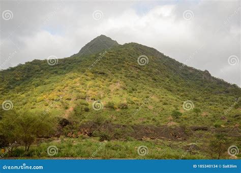 Salalah Khareef Monsoon Season Stock Photo - Image of outdoor, summer ...