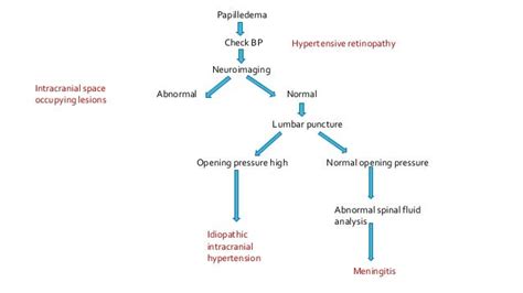 Differential Diagnosis of Disc Edema