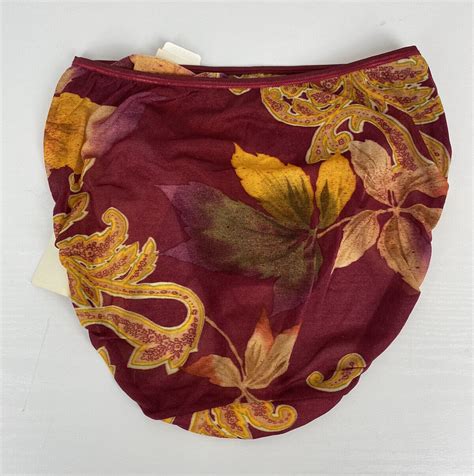 VTG WARNER S THE NAKED TRUTH Panties Sheer Shiny Stre Gem