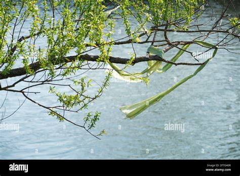 Plastic Pollution In Italy Hi Res Stock Photography And Images Alamy