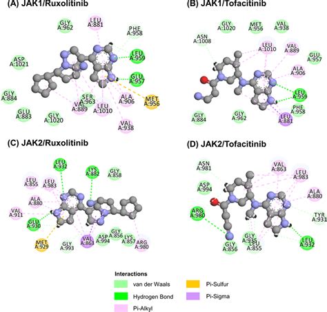 D Interactions Of Ruxolitinib And Tofacitinib Complexed With A B