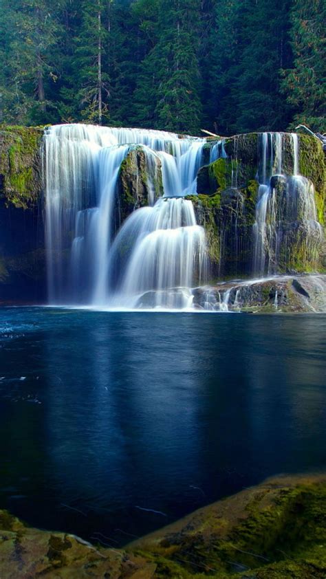 Stream Waterfall On Algae Covered Rocks Pouring On River Surrounded By Trees In Jungle 4k Hd