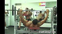 Hot Gay Studs Fuck Videos XVIDEOS
