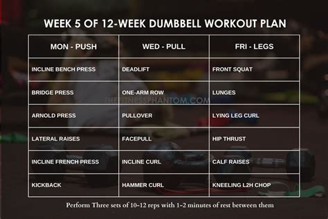 Free Dumbbell Workout Chart Pdf EOUA Blog