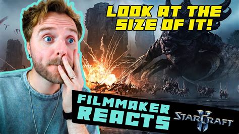 FILMMAKER REACTS TO STARCRAFT 2 HEART OF THE SWARM AND LEGACY OF THE