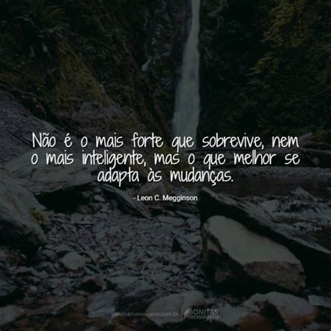 Reflex O Comemora O Reflex Es Sobre A Vida No Geral Bonitas Mensagens