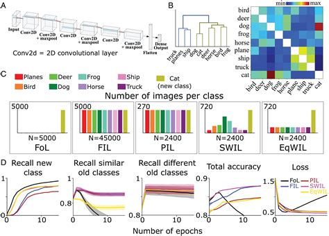 Learning In Deep Neural Networks And Brains With Similarity Weighted Interleaved Learning Pnas