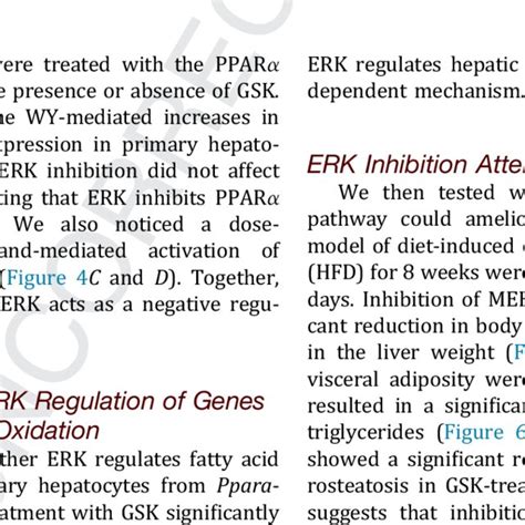 Erk Inhibition Augments Ligand Mediated Ppara Activation A Qpcr