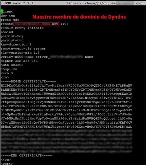 Vpn Con Dyndns En Raspberry Pi El Taller Del Bit